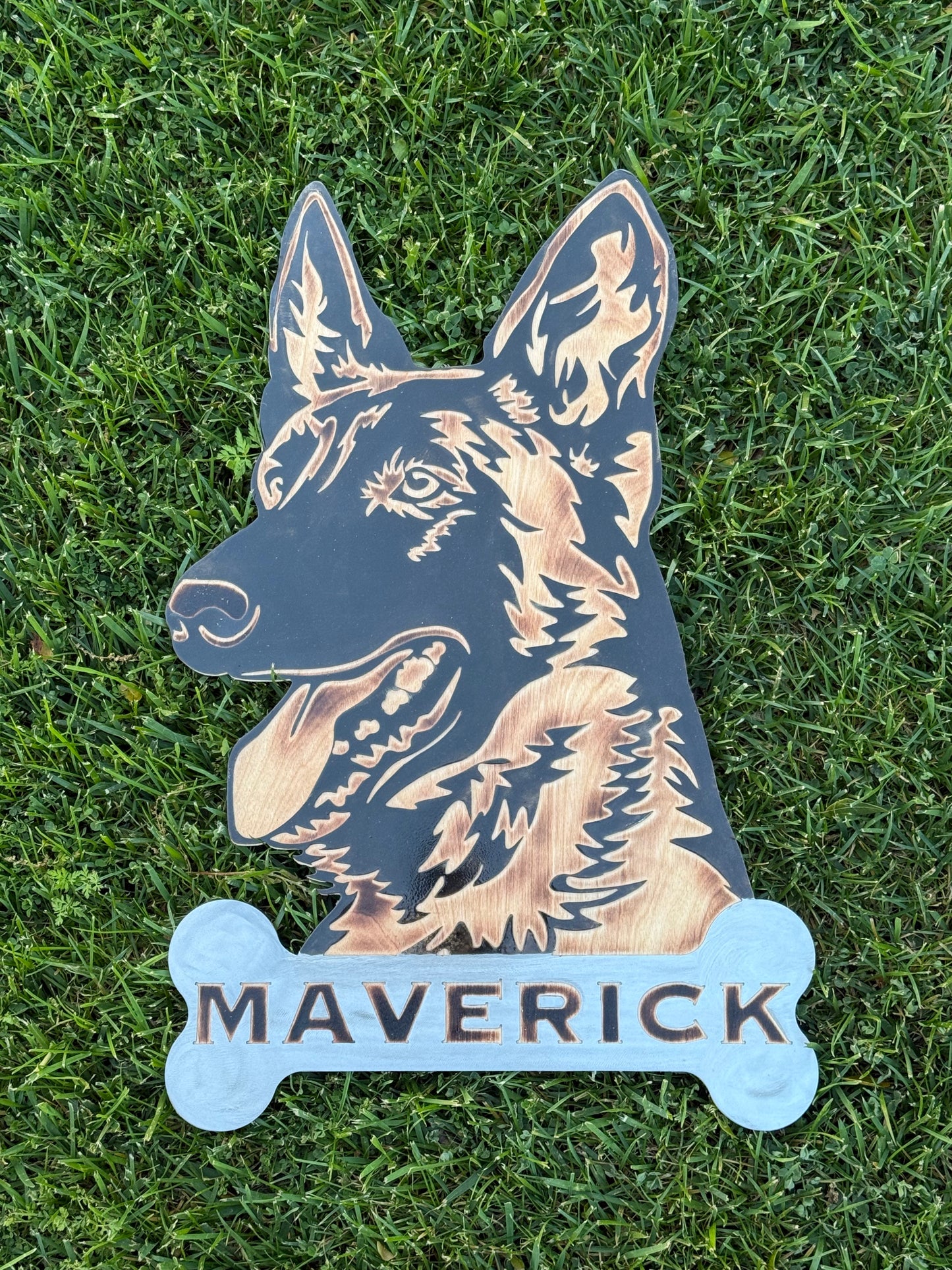 24" Custom Dutch Shepherd Portrait