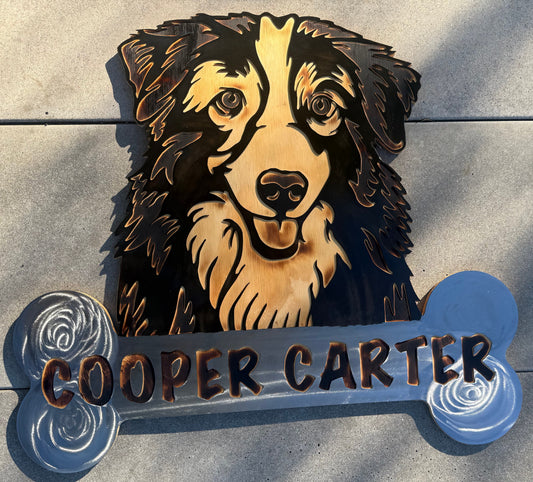 24" Custom Australian Shepherd Portrait