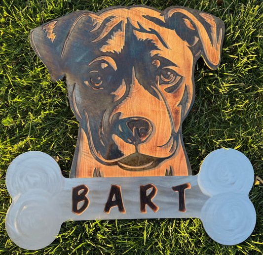 24" Custom Small Pit Portrait