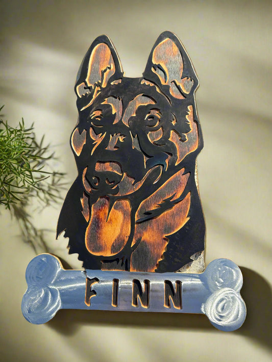 24" Custom Malinois Portrait